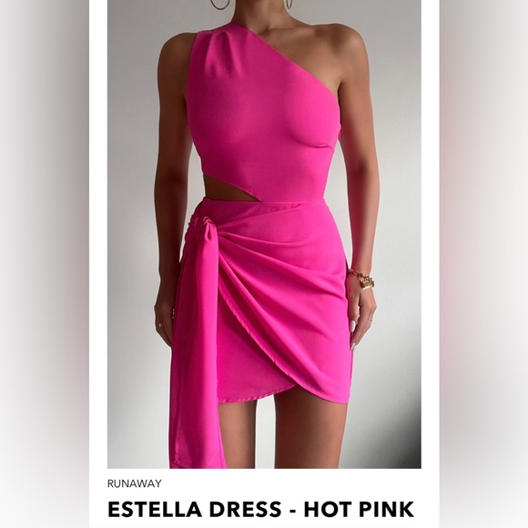 Runaway Dresses & Skirts - NWT Runaway dress .